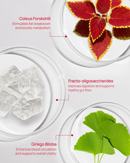 [FOODOLOGY] Coleology Red Water Diet Drink Mix